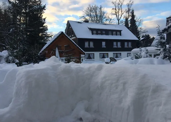 Goski & Gobike 4k Netflix Free Apartamento